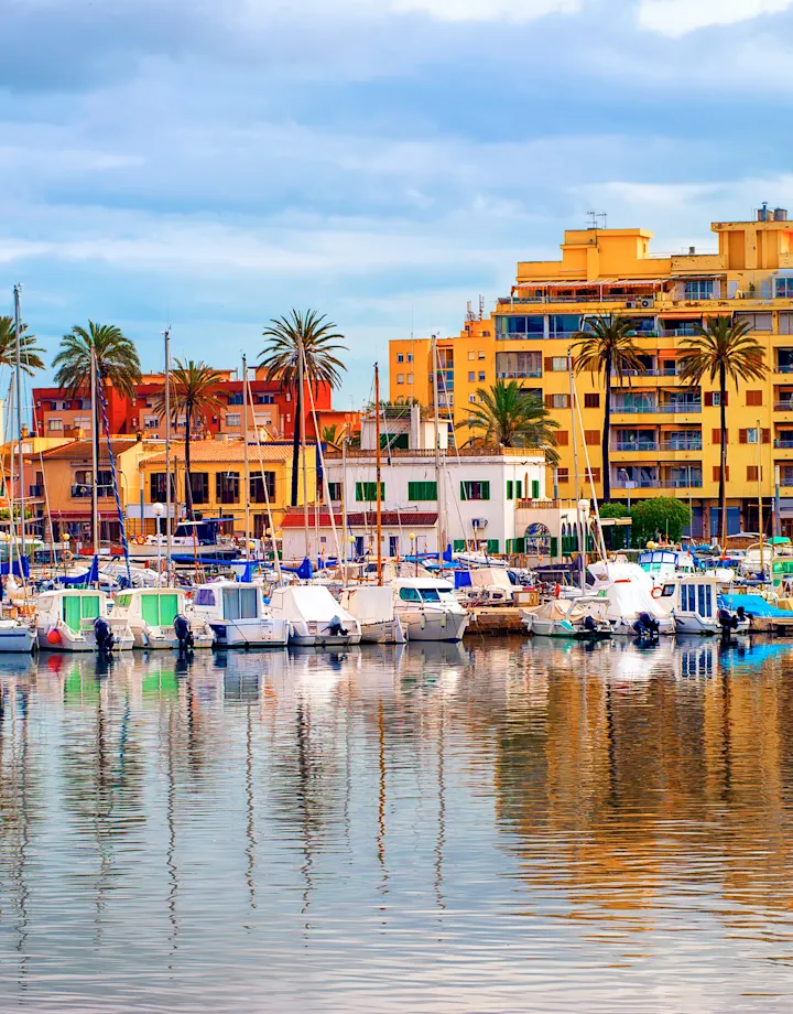 Cork Hero desktop-Palma