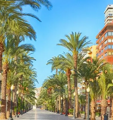 alicante-banner.jpg