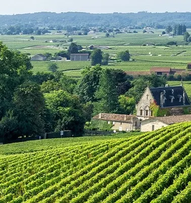 bordeaux-banner.jpg