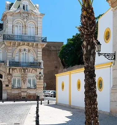 faro-banner.jpg