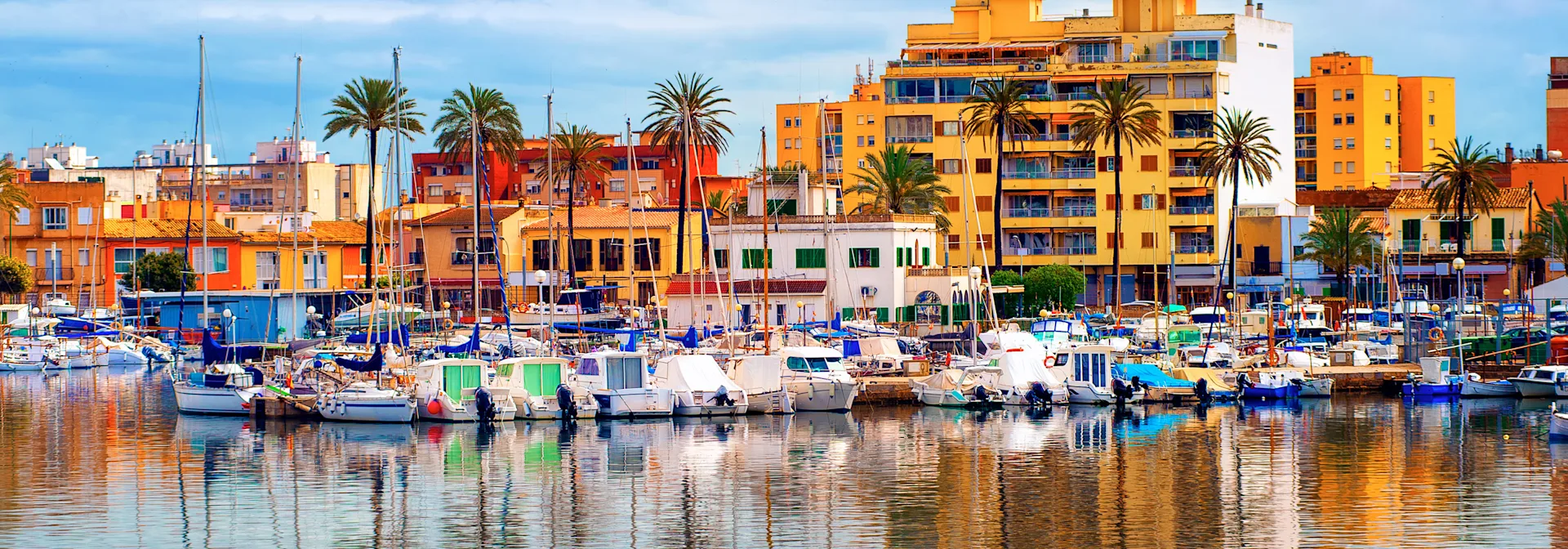 Cork Hero desktop-Palma