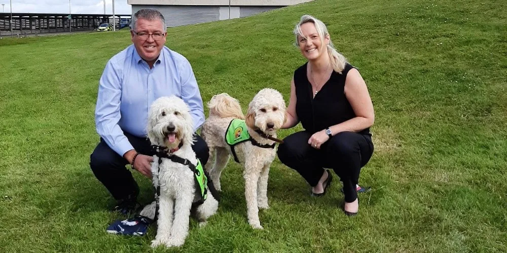 Cork - Travelling With Pets At Cork Airport