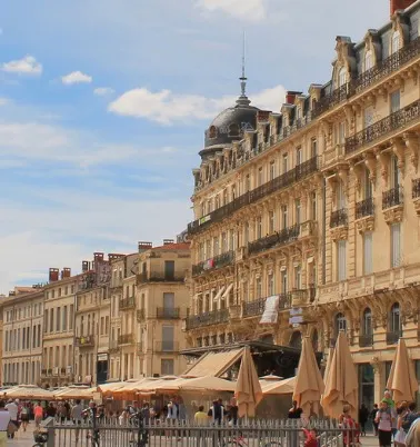 montpellier-banner.png