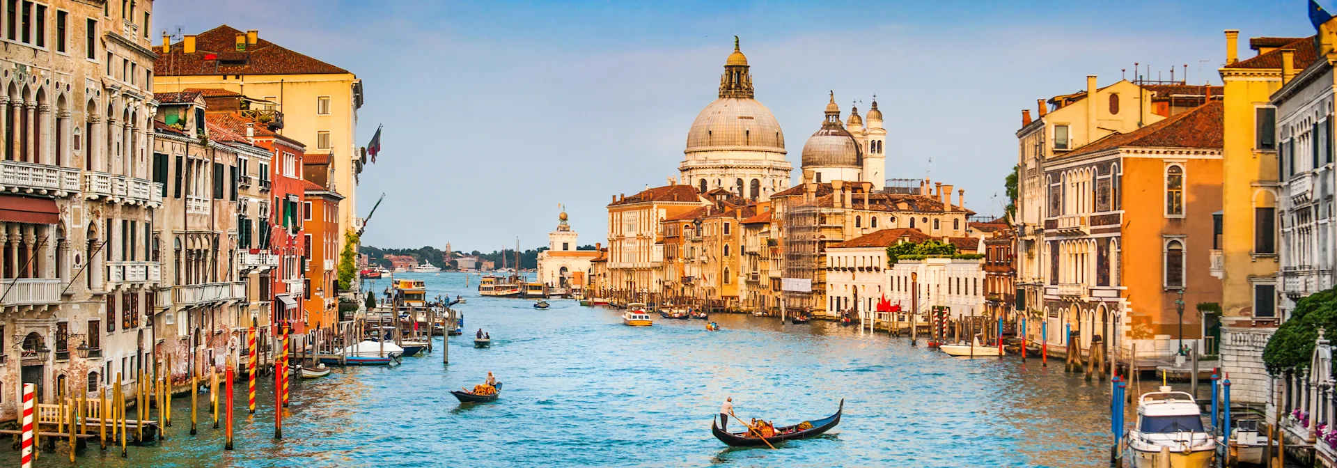 Cork Hero desktop-Venice