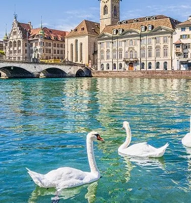 zurich-banner.jpg