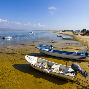 Take a boat trip on the Ria Formosa