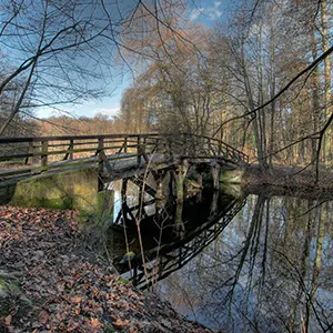 Frankfurt City Forest