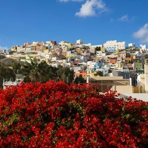 Las Palmas