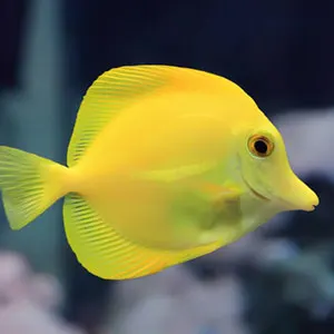 La Rochelle Aquarium