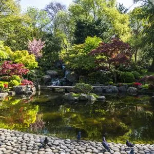 Kyoto Garden