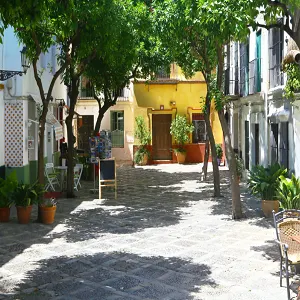 Seville Sightseeing Tours