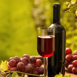 Take a wine tour