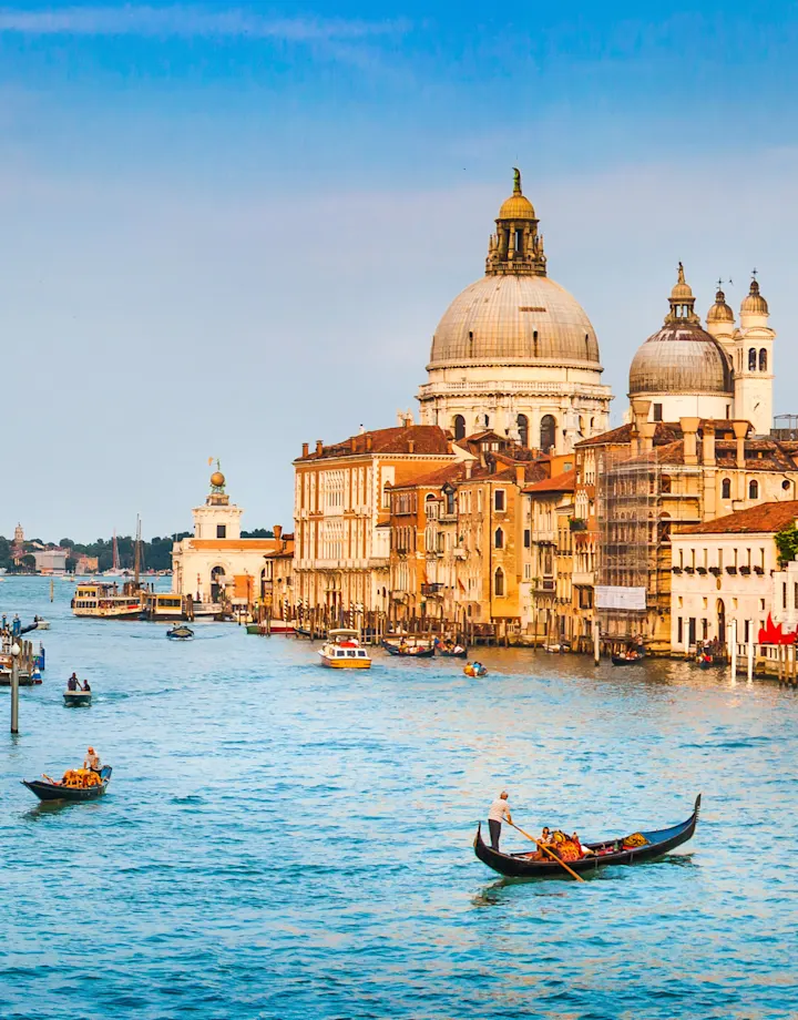 Cork Hero desktop-Venice