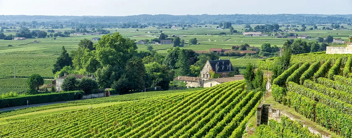 bordeaux-banner.jpg