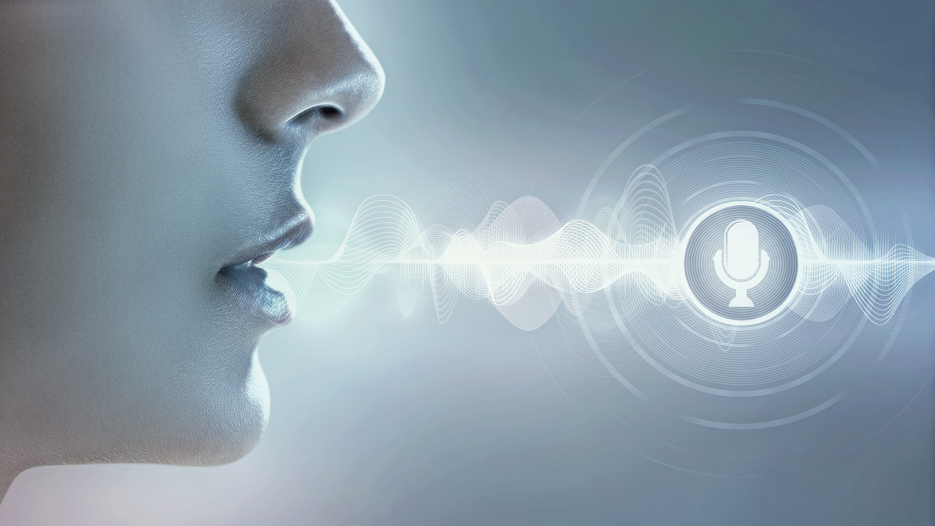 VIER enables real-time biometric voice authentication on the phone