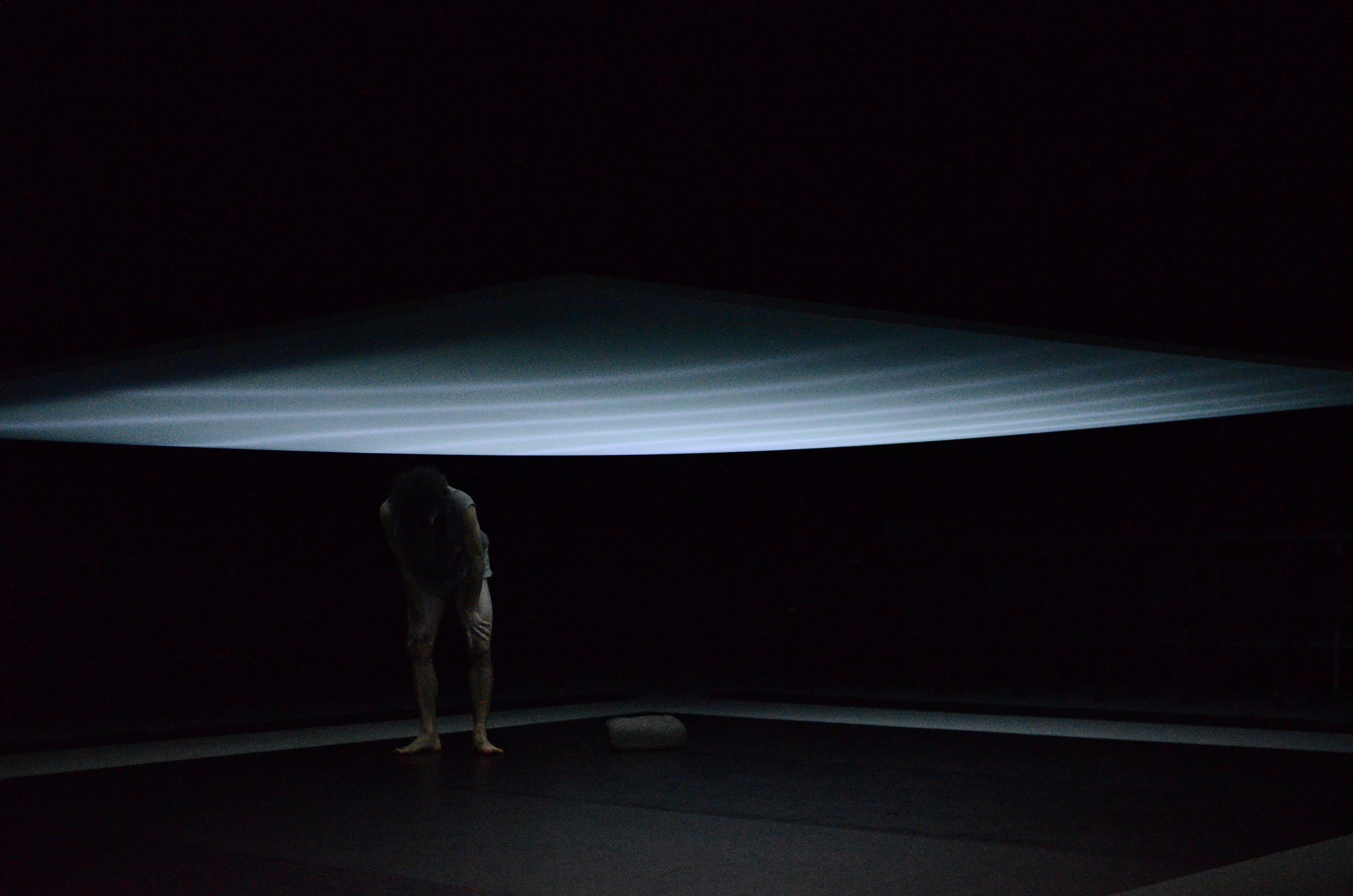 faire fleurir montpellier