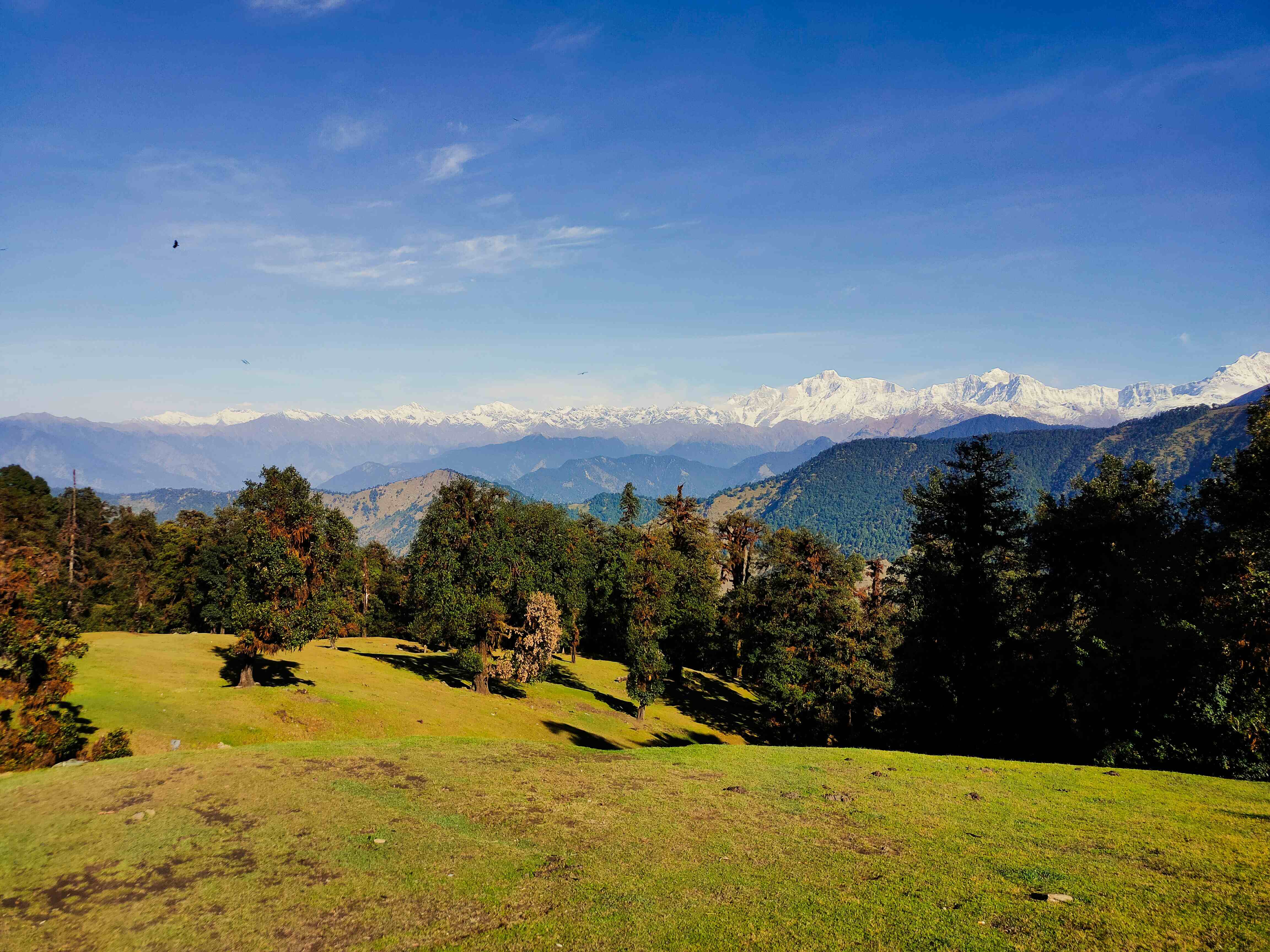 Image of chopta6