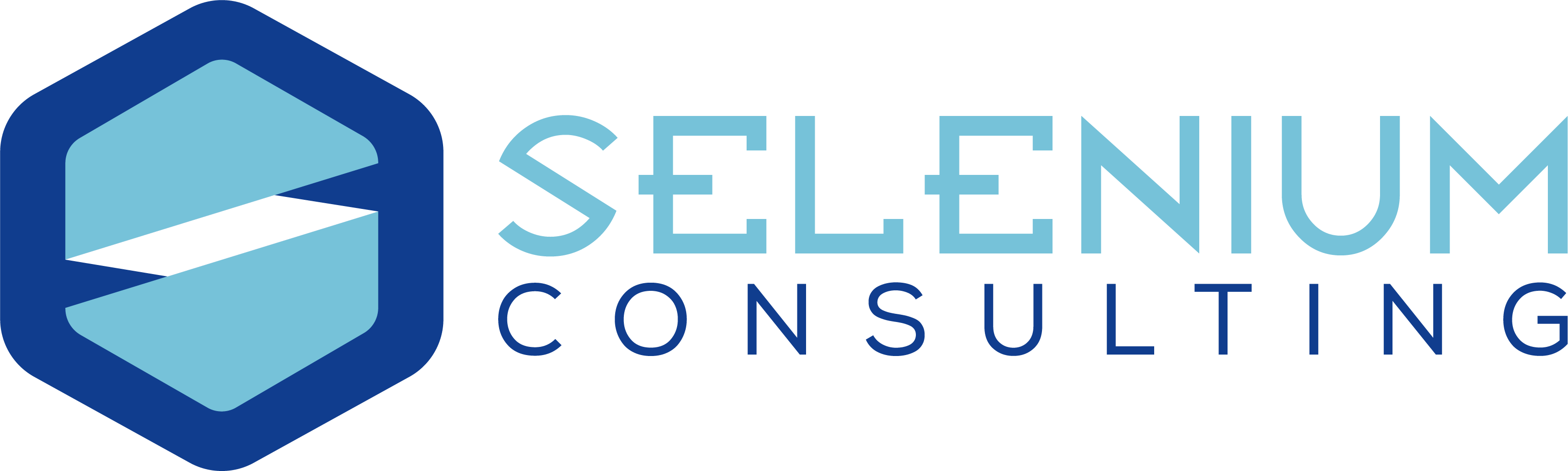 Selenium Consulting