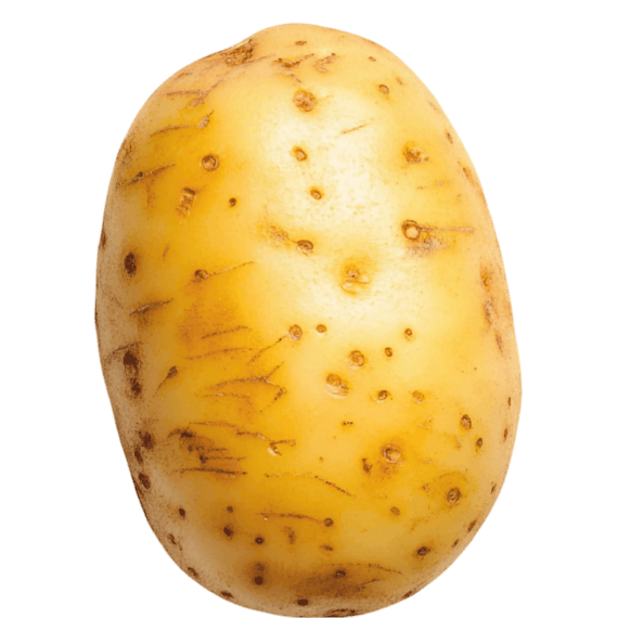aardappel.png
