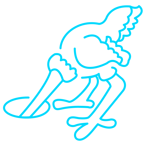 illustratie struisvogel.png