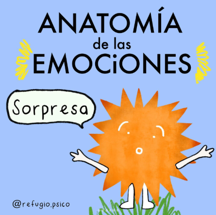 Anatomía de la sorpresa
