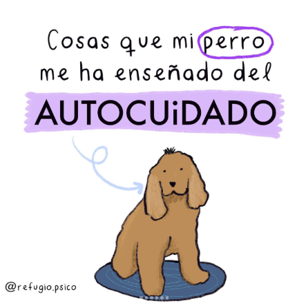 Cosas que mi perro me ha enseñado del autocuidado