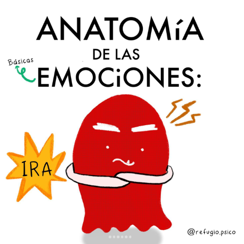 Anatomía de la ira