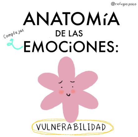 Anatomía de la vulnerabilidad