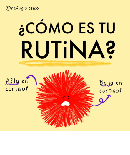 ¿Cómo es tu rutina?