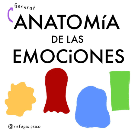 Anatomía de las emociones