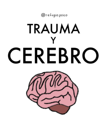 Trauma y cerebro