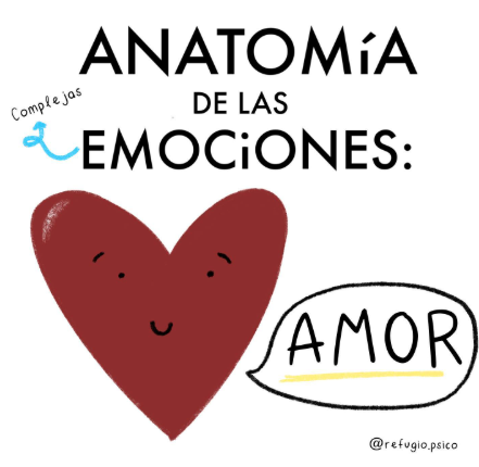 Anatomía del Amor