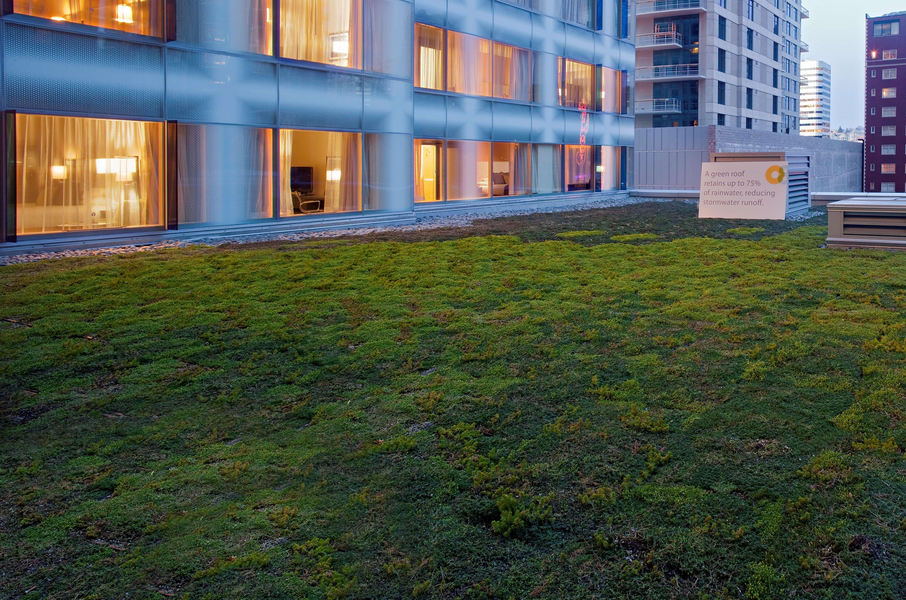 Stay in style at Hyatt at Olive 8