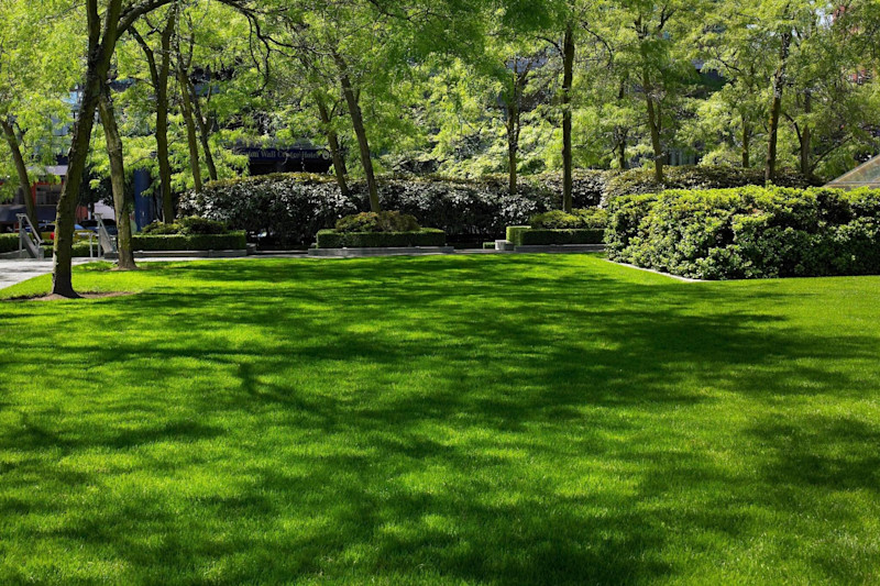 Stay in style at Sheraton Vancouver Wall Centre