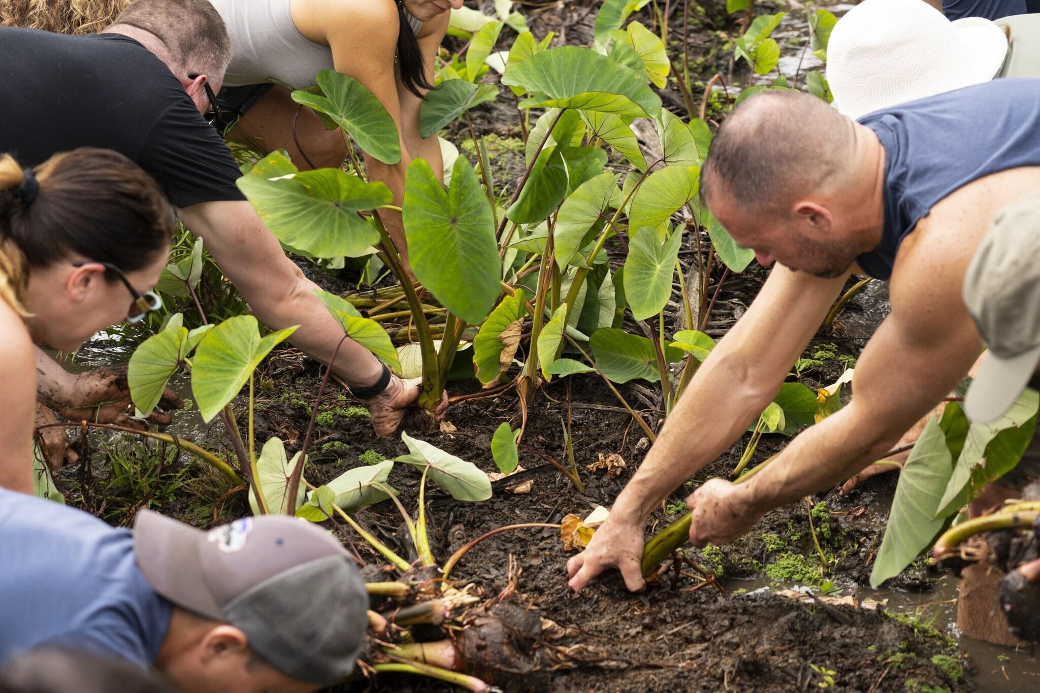 Stay in style at The Royal Hawaiian, a Luxury Collection Resort