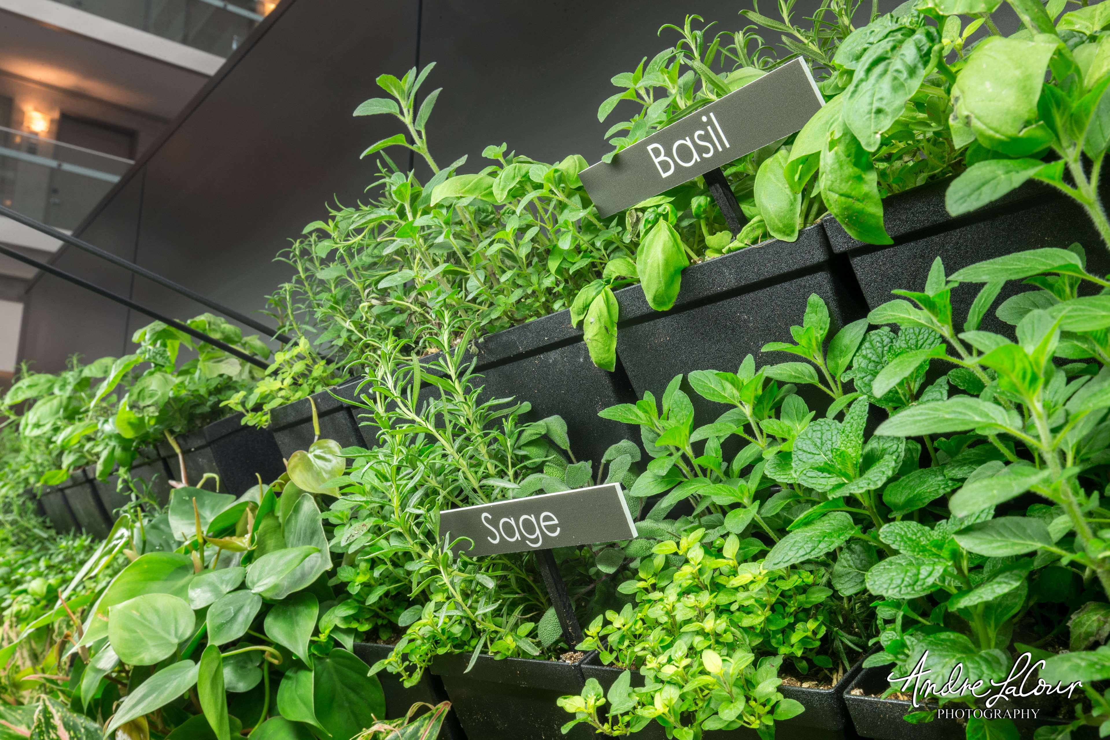 Stay in style at Embassy Suites by Hilton Chicago Downtown Magnificent Mile