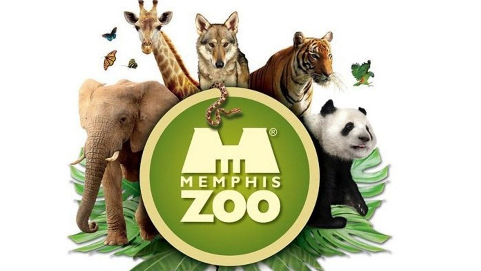 Stay in style at Sheraton Memphis Downtown Hotel