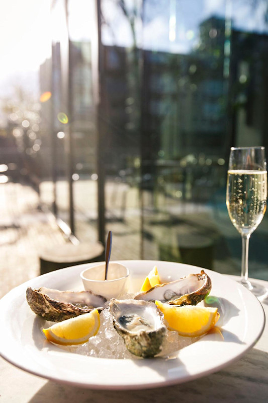 Stay in style at Arena