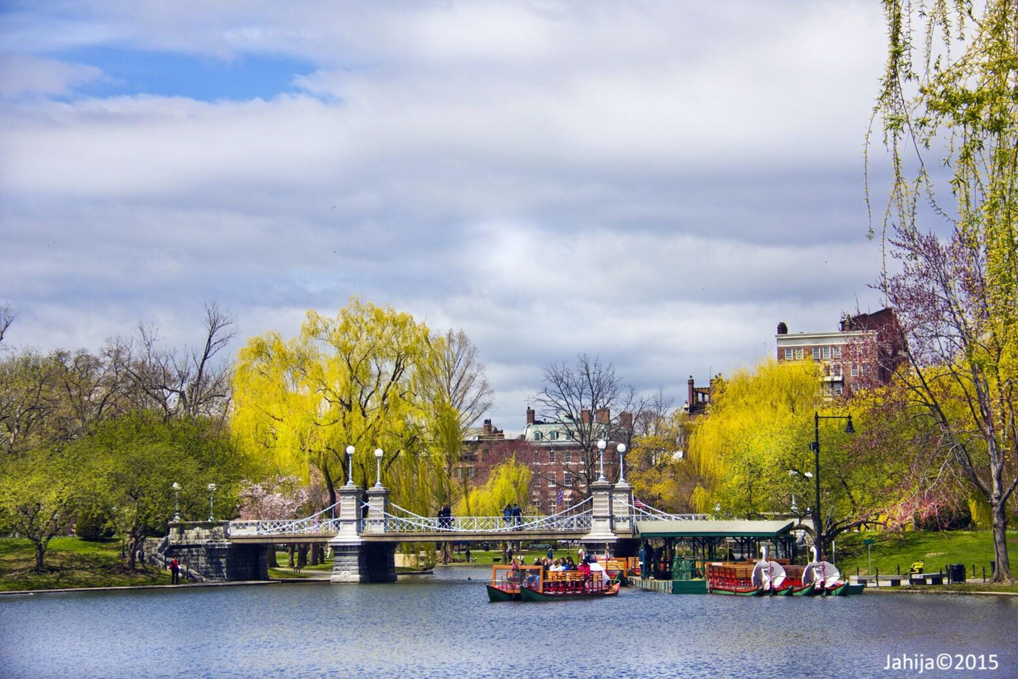 Stay in style at The Colonnade Hotel