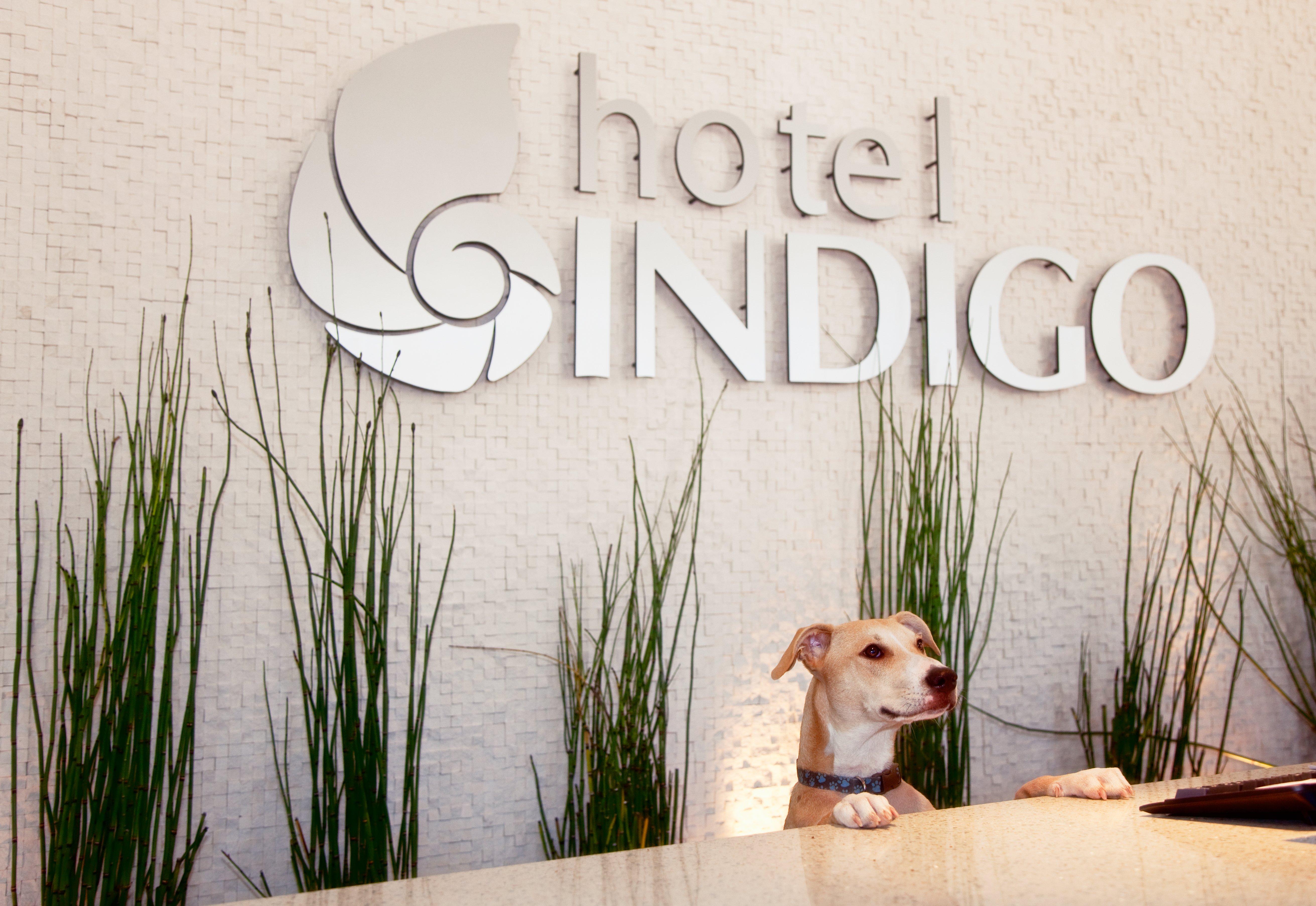 Stay in style at Indigo San Diego-Gaslamp Quarter