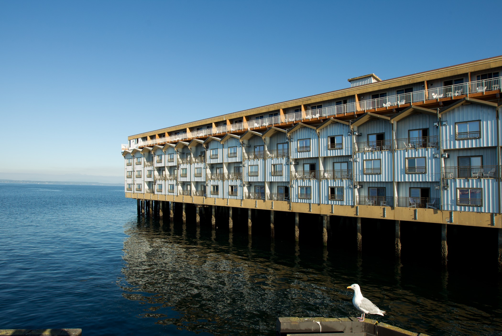 Stay in style at The Edgewater Hotel