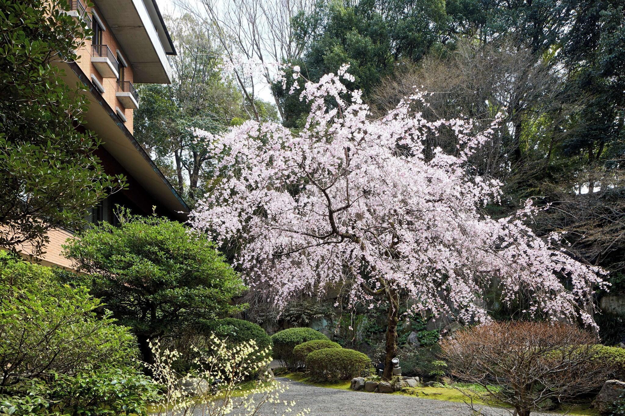 Stay in style at Hyatt Regency Kyoto