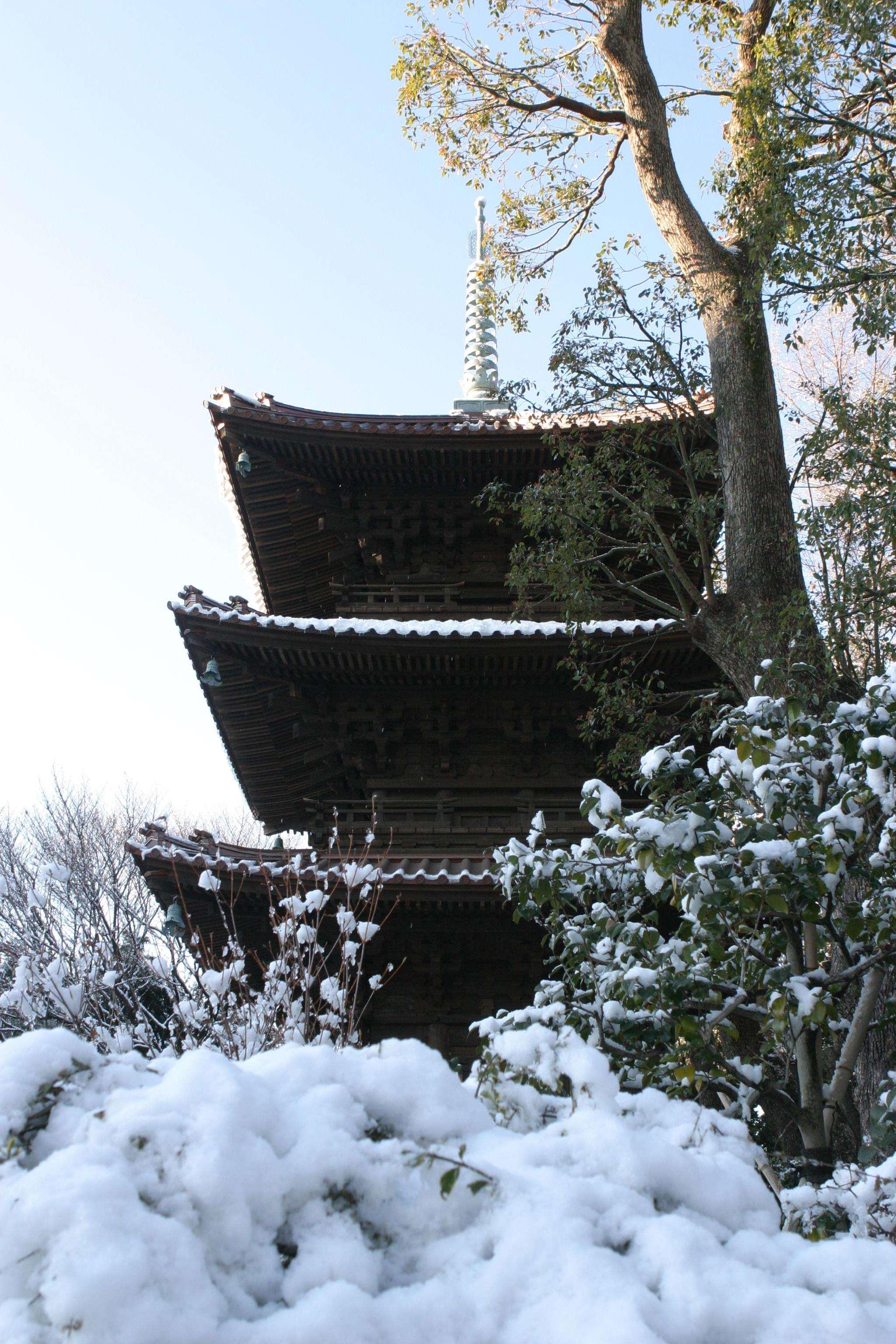 Stay in style at Hotel Chinzanso