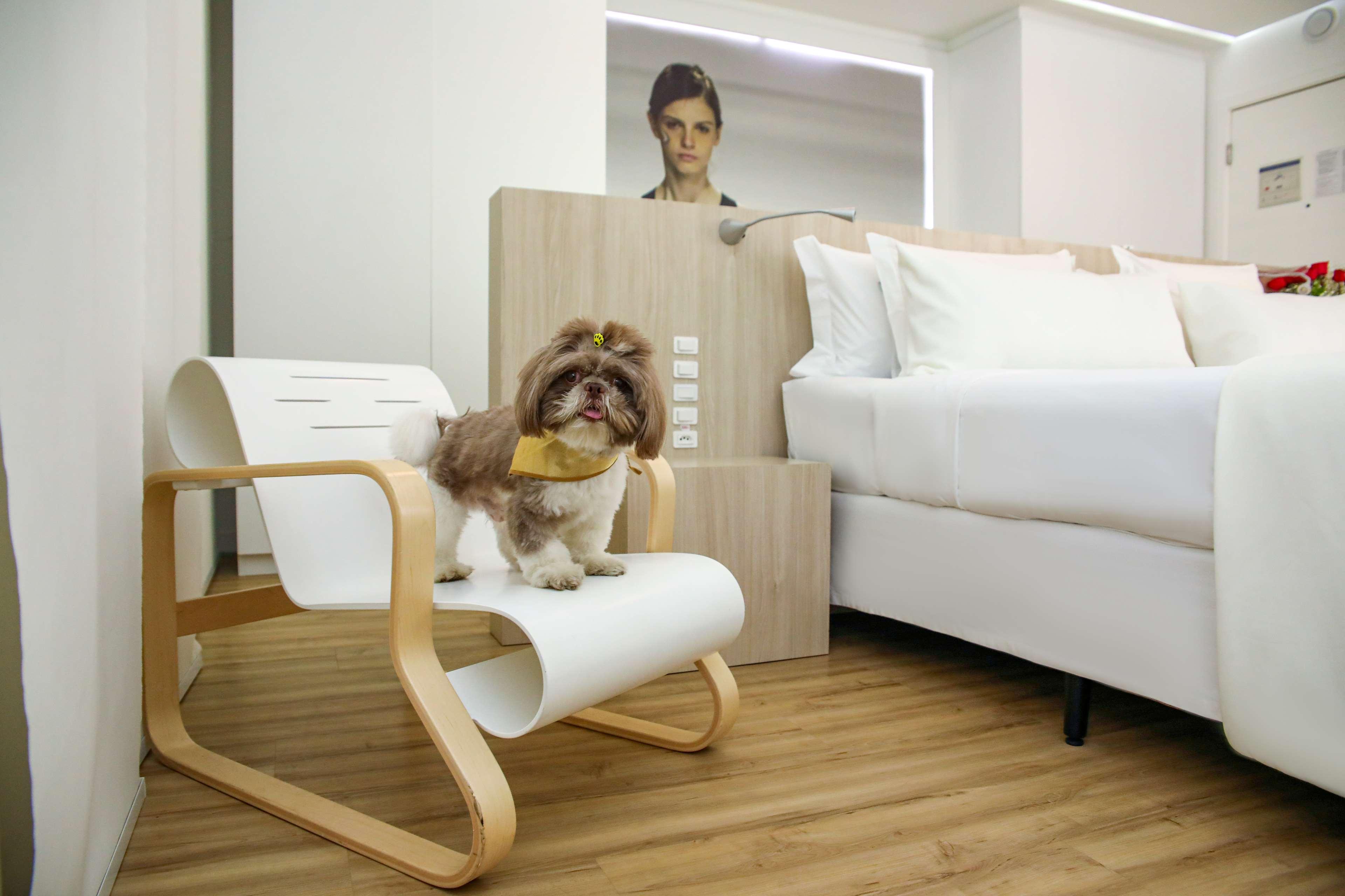 Stay in style at Bossa Nova Ipanema