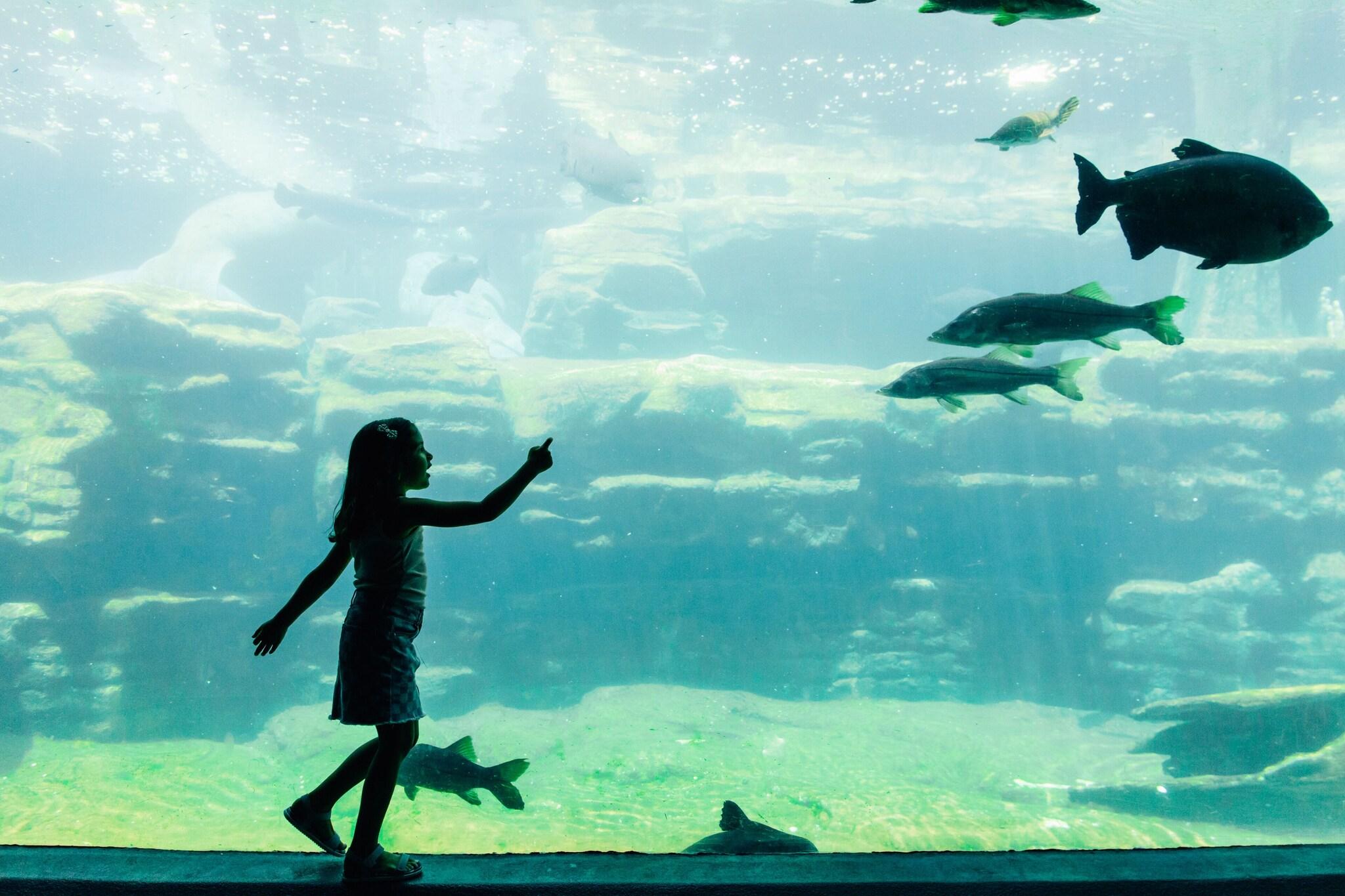 Stay in style at Hyatt Regency Orlando