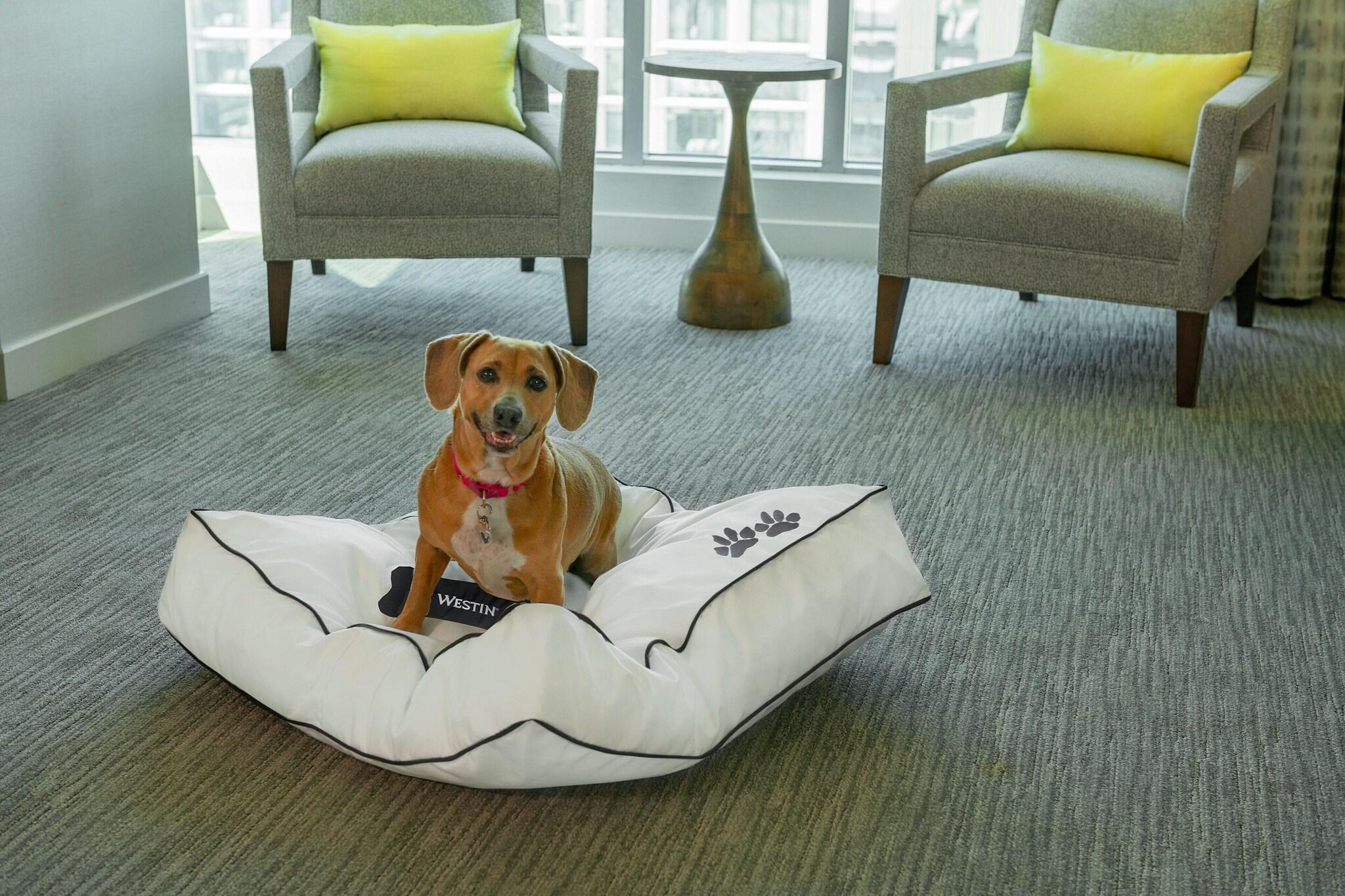 Stay in style at The Westin Boston Seaport District