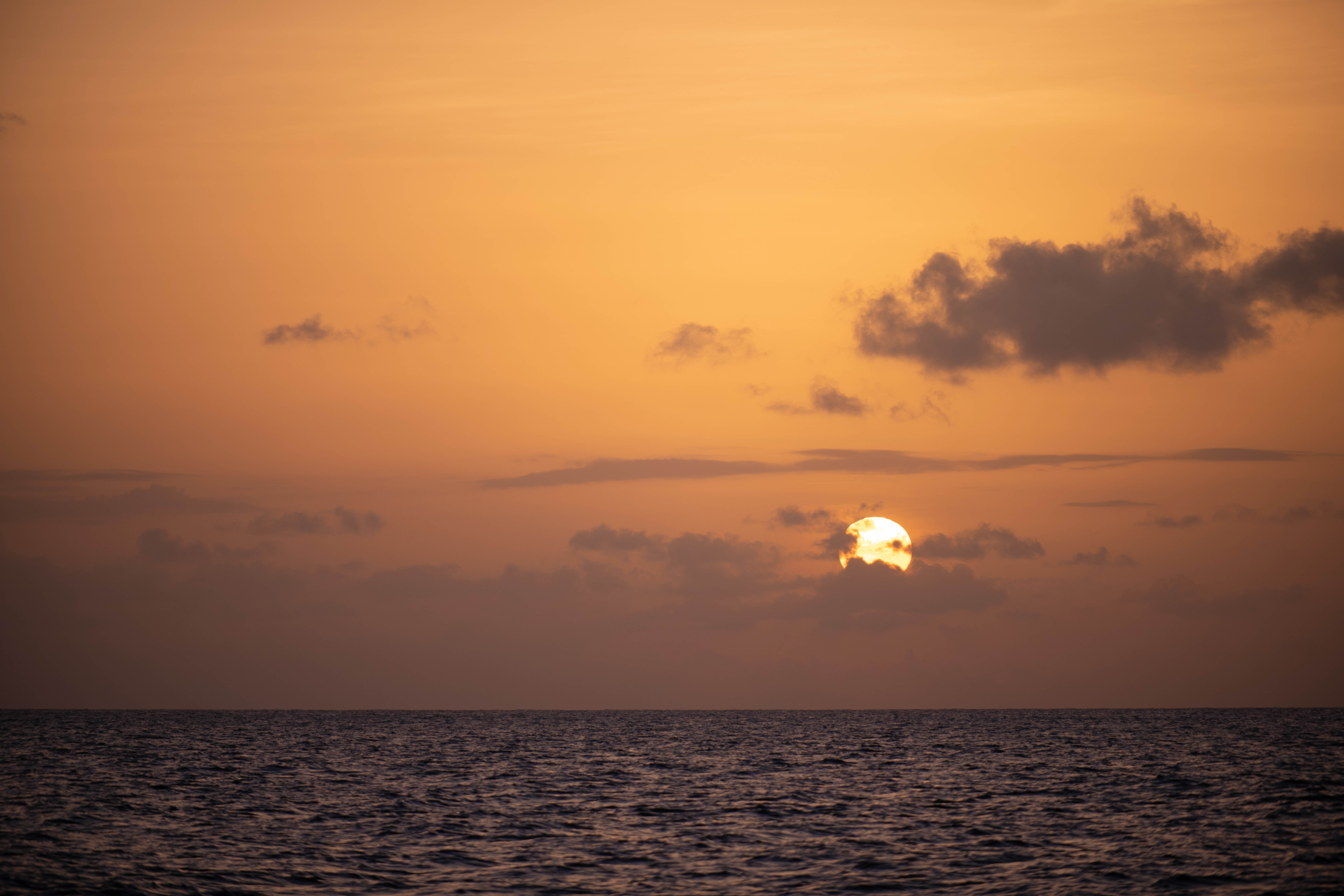 Stay in style at Fairmont Royal Pavilion