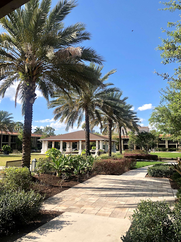 Stay in style at DoubleTree by Hilton Hotel Orlando at SeaWorld