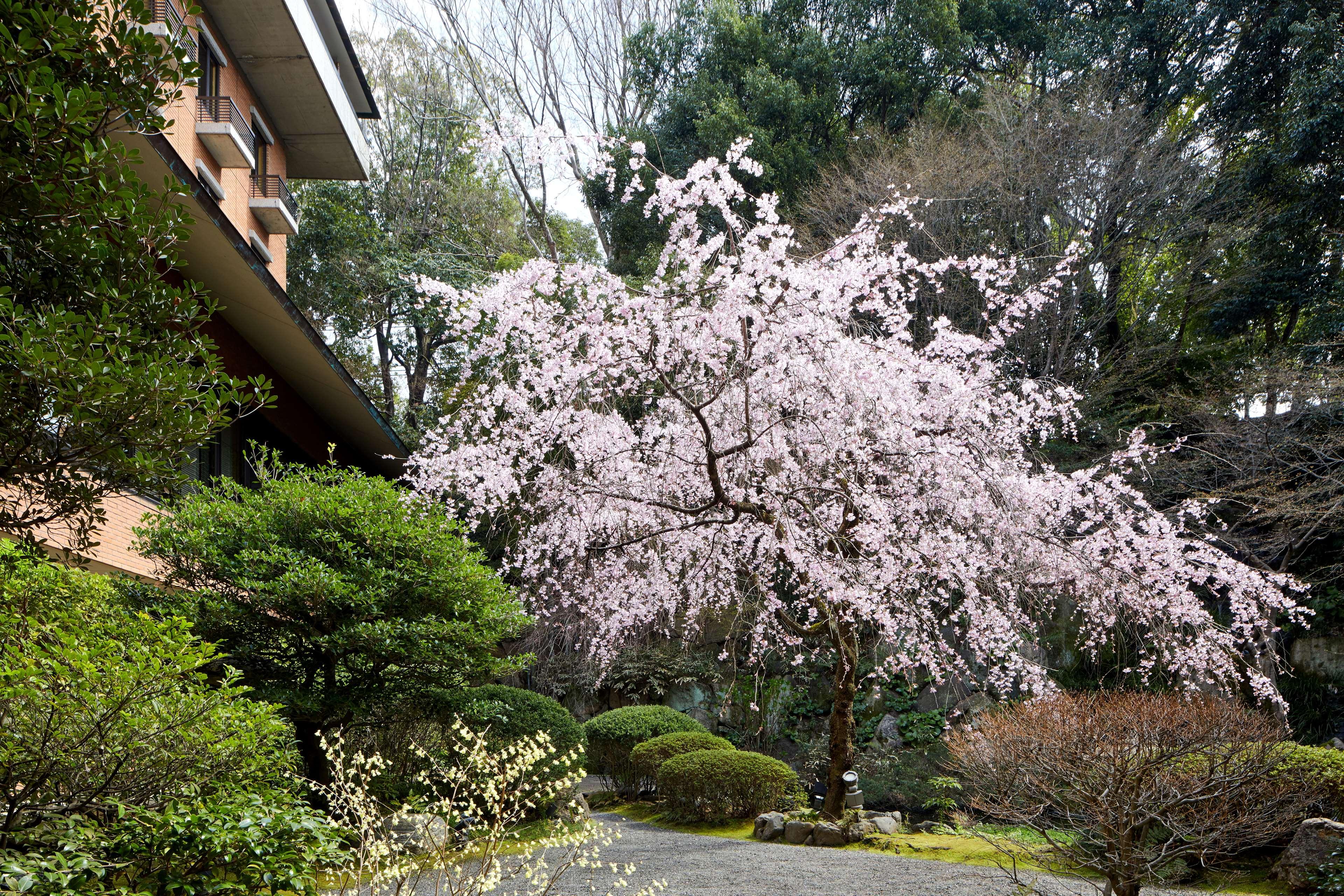 Stay in style at Hyatt Regency Kyoto