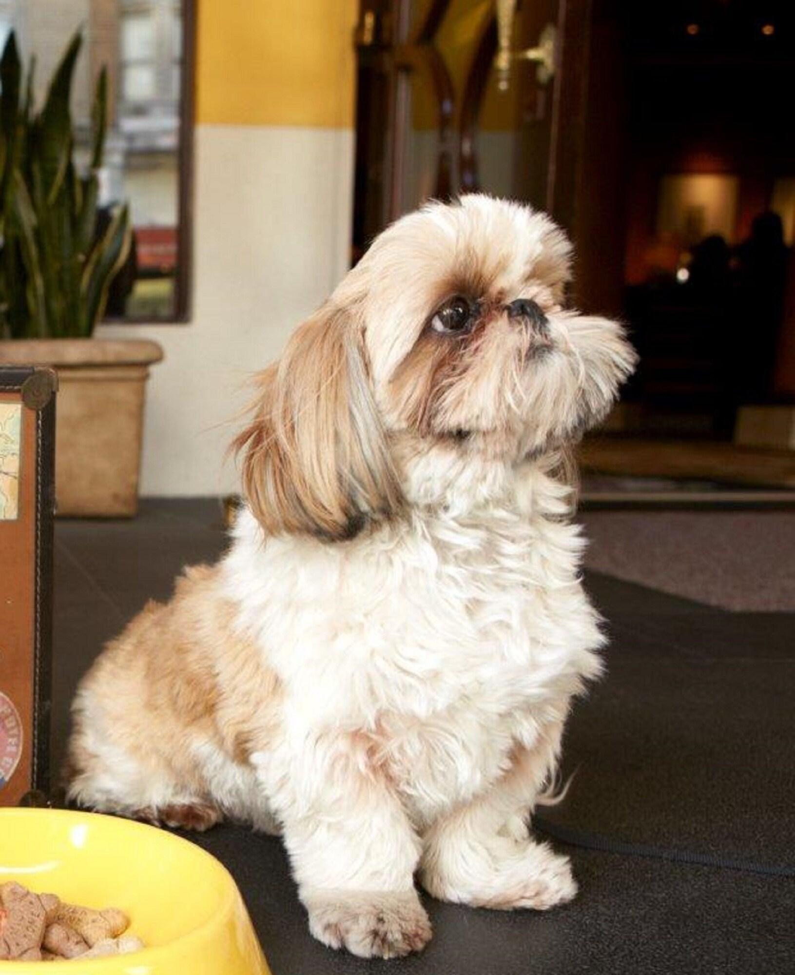 Stay in style at The Marker Union Square San Francisco